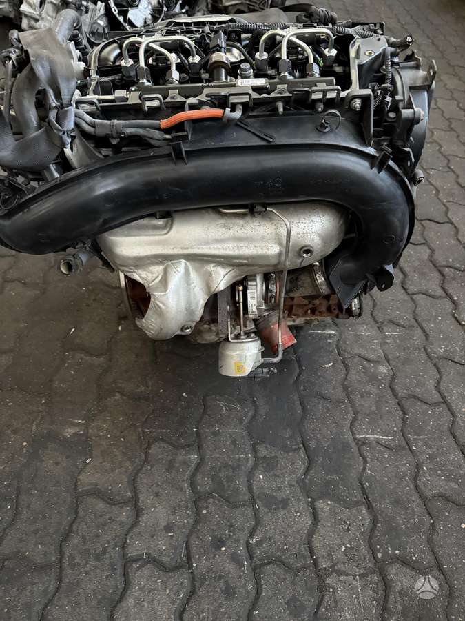 Ford C-MAX, TYDA, engine