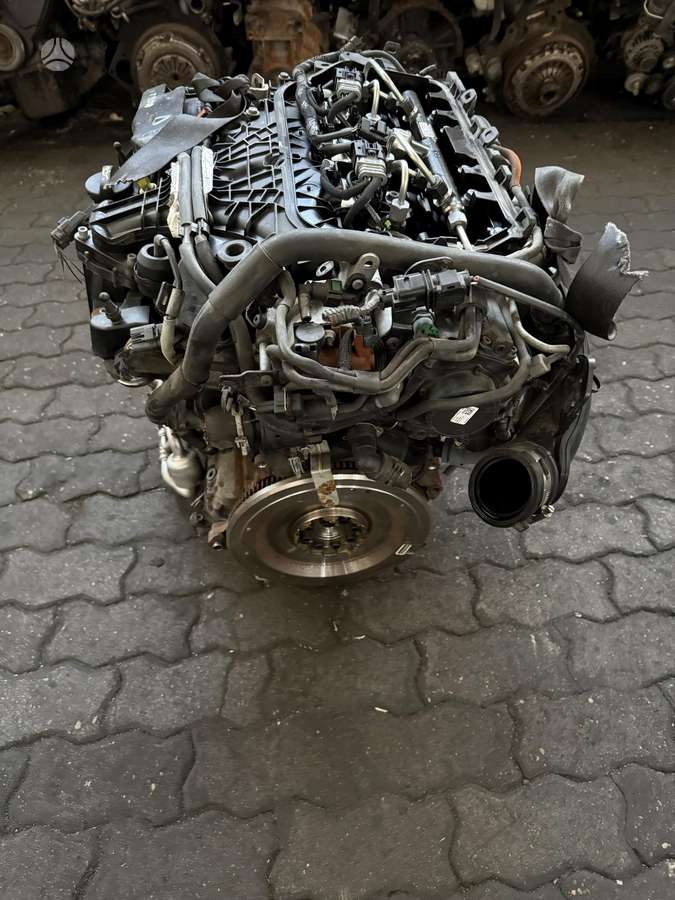 Ford C-MAX, TYDA, dzinējs