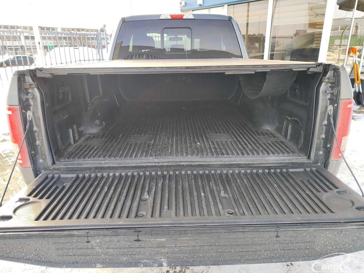 Ford F-150, 5.0 l., pick-up 13