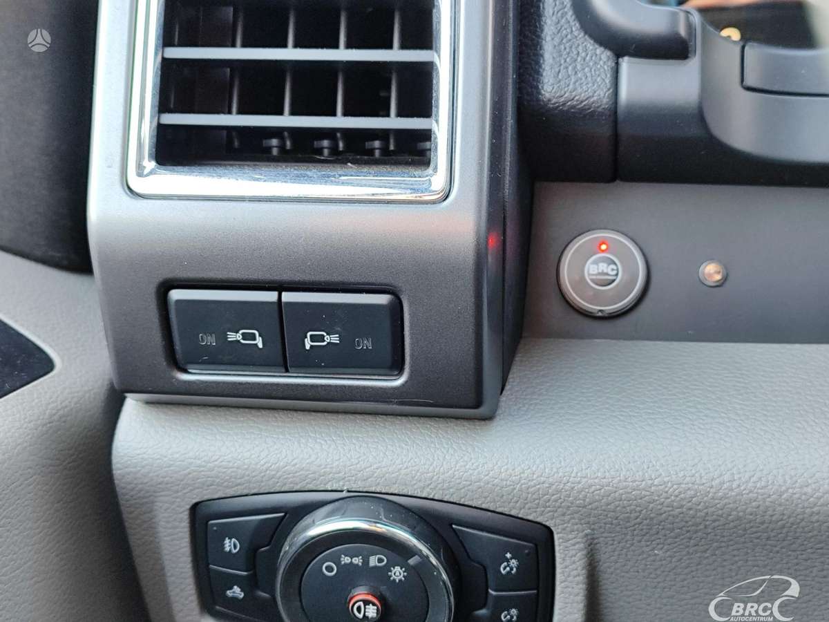 Ford F-150, 5.0 l., pick-up 19