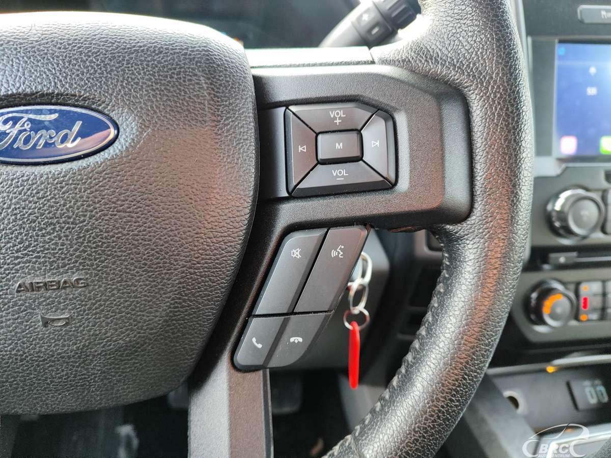 Ford F-150, 5.0 l., pick-up 21