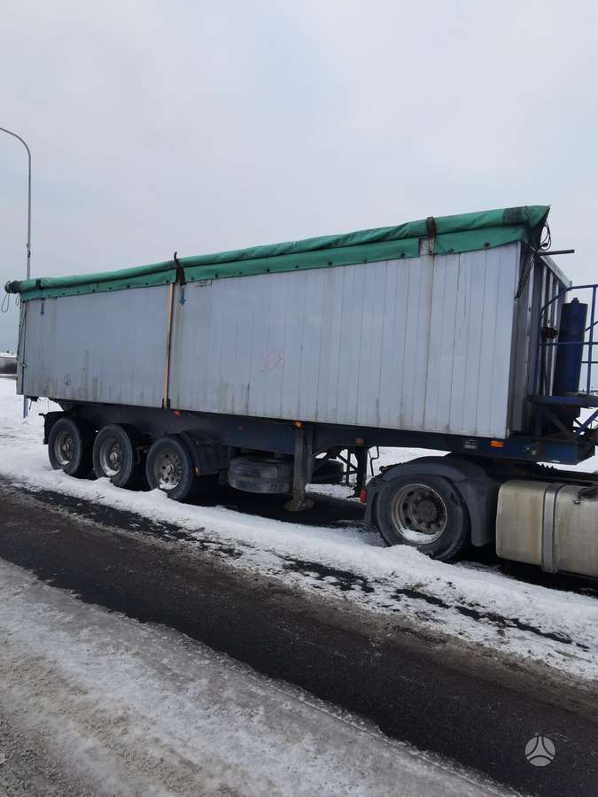 Reisch WIELTON  NW38AT, самосвалы