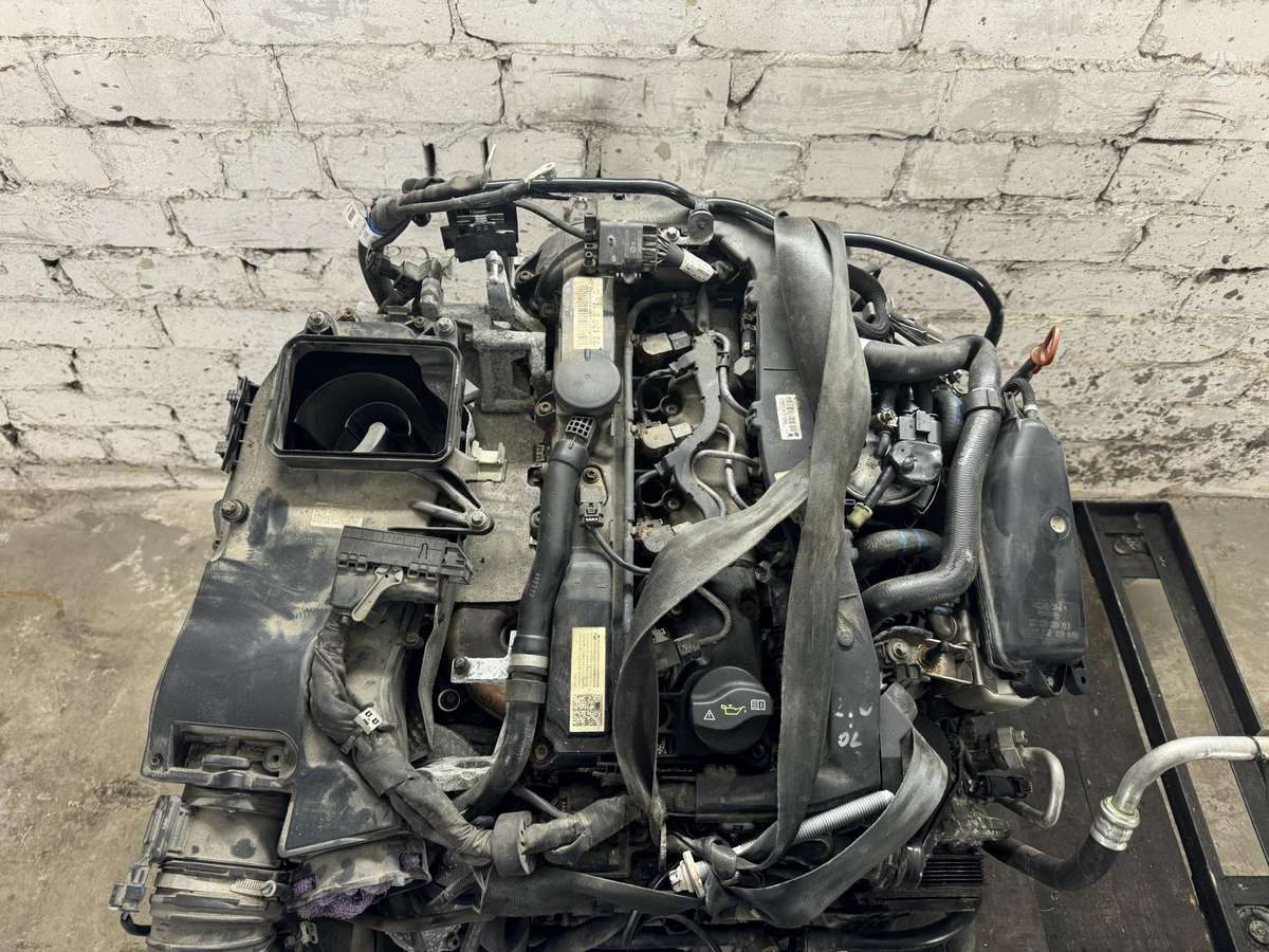 Mercedes-Benz C220, 651921, engine