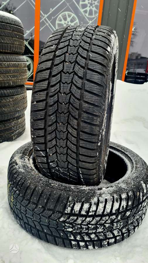 Sava, žieminės 225/50 R17