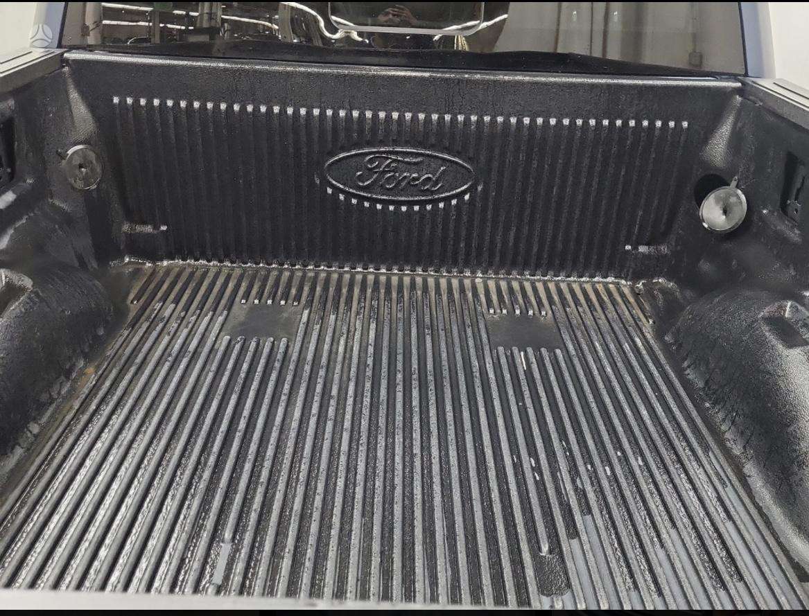 Ford F-150, 3.3 l., pick-up 10