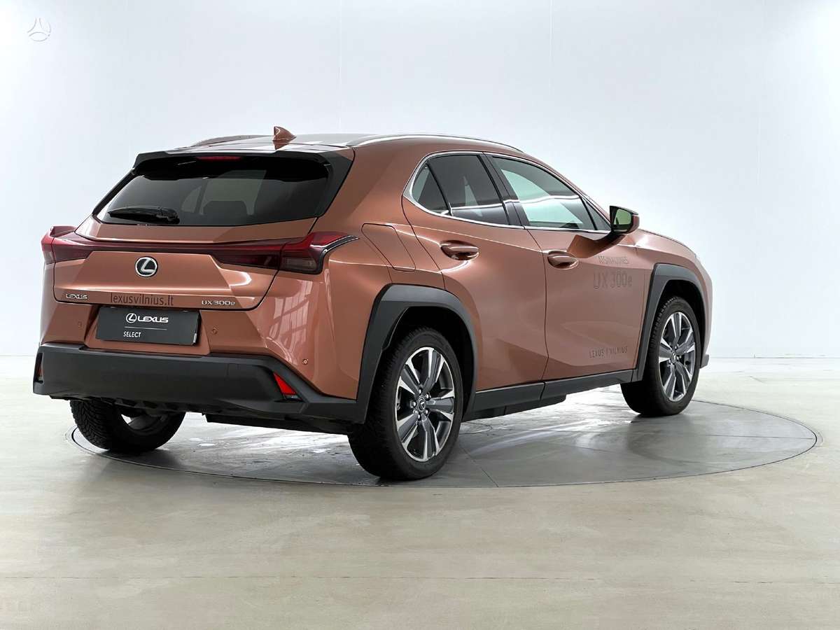 Lexus UX 300e, off-road / crossover