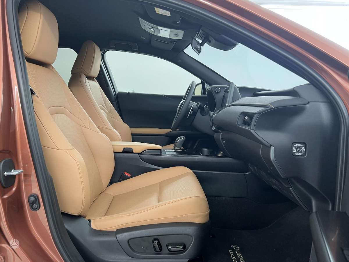 Lexus UX 300e, off-road / crossover