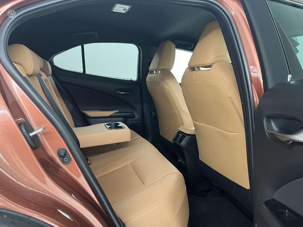 Lexus UX 300e, Внедорожник / Кроссовер