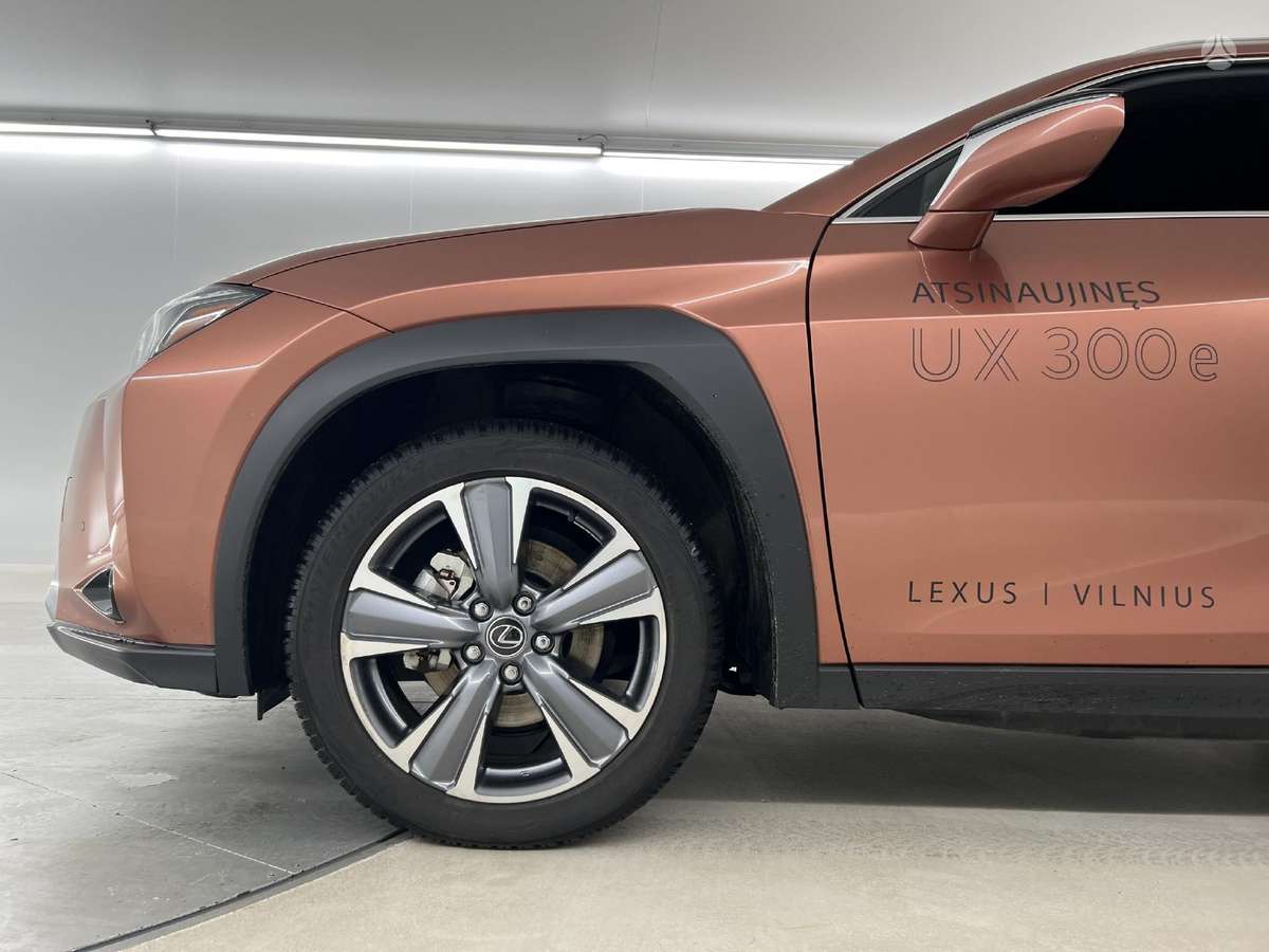 Lexus UX 300e, off-road / crossover