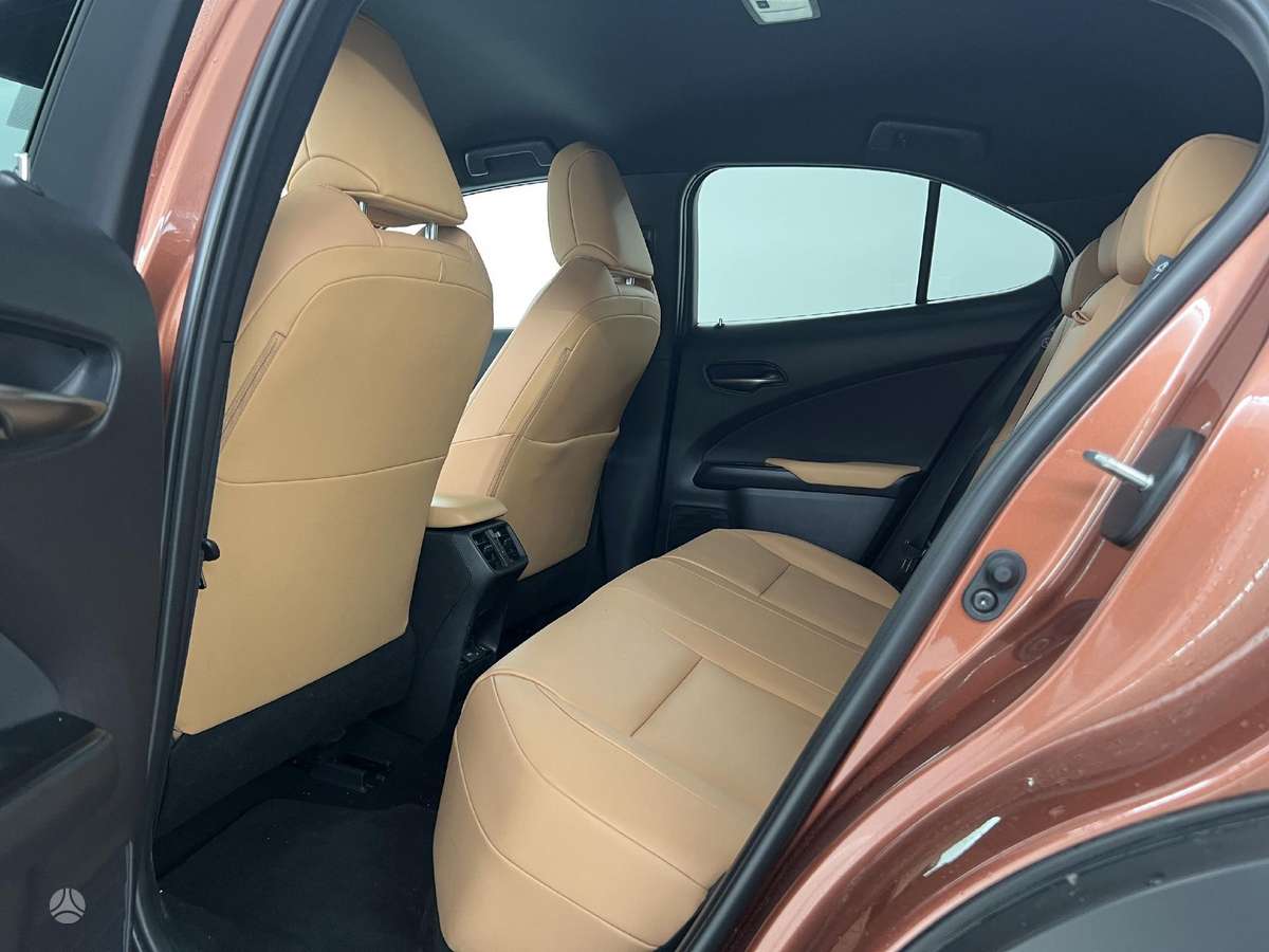 Lexus UX 300e, Внедорожник / Кроссовер