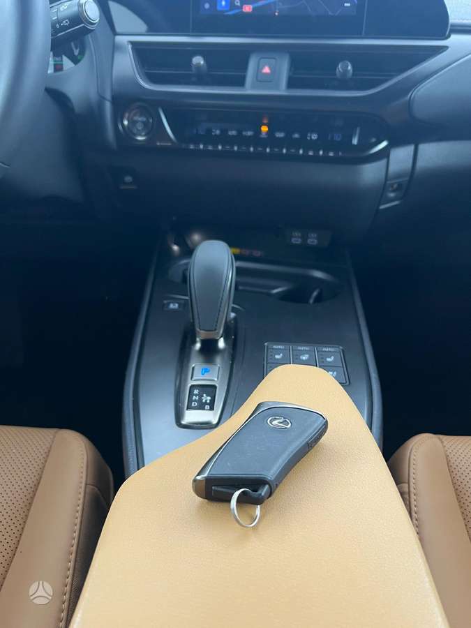 Lexus UX 300e, off-road / crossover