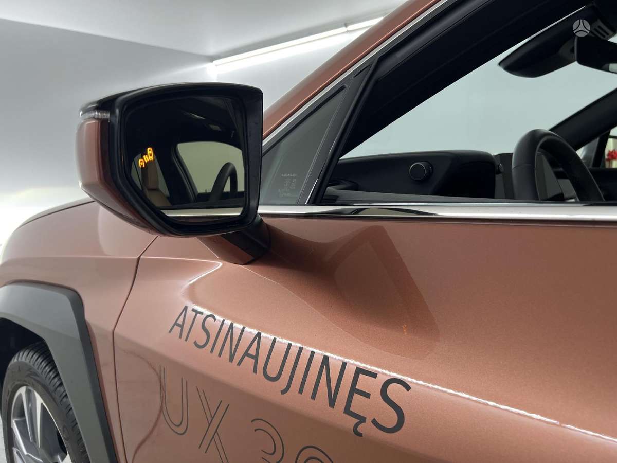 Lexus UX 300e, off-road / crossover
