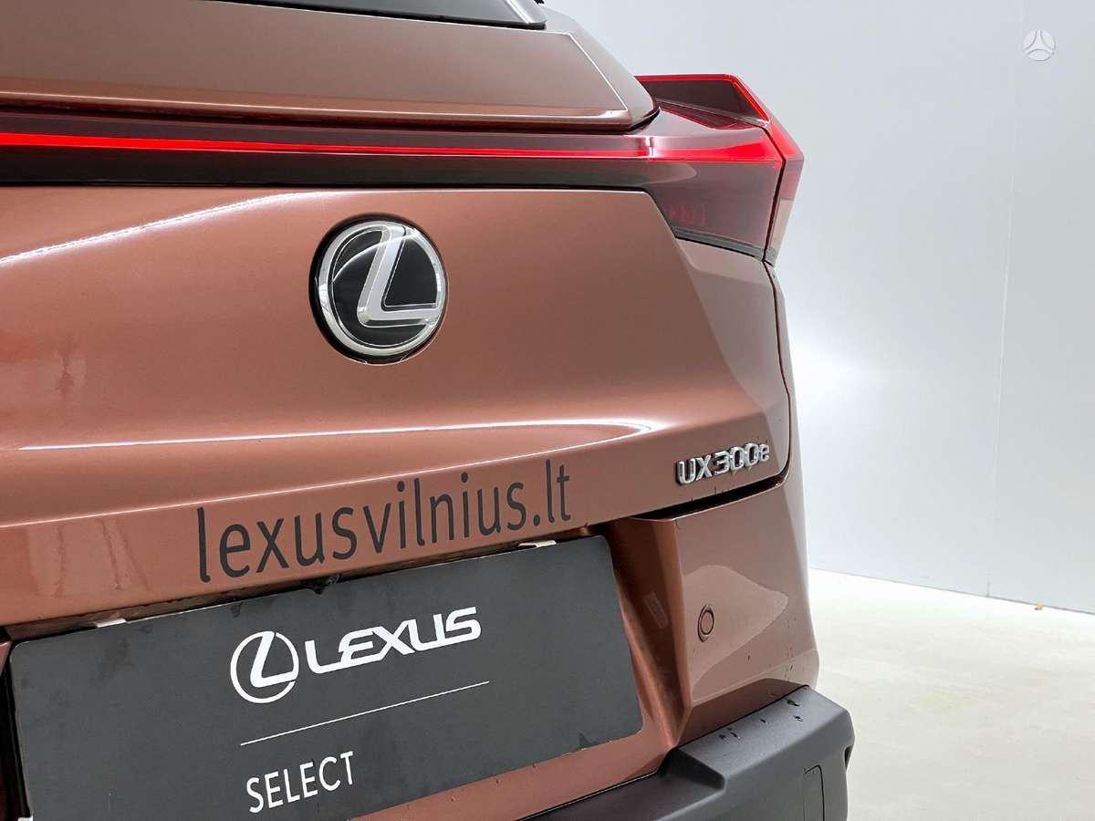 Lexus UX 300e, off-road / crossover