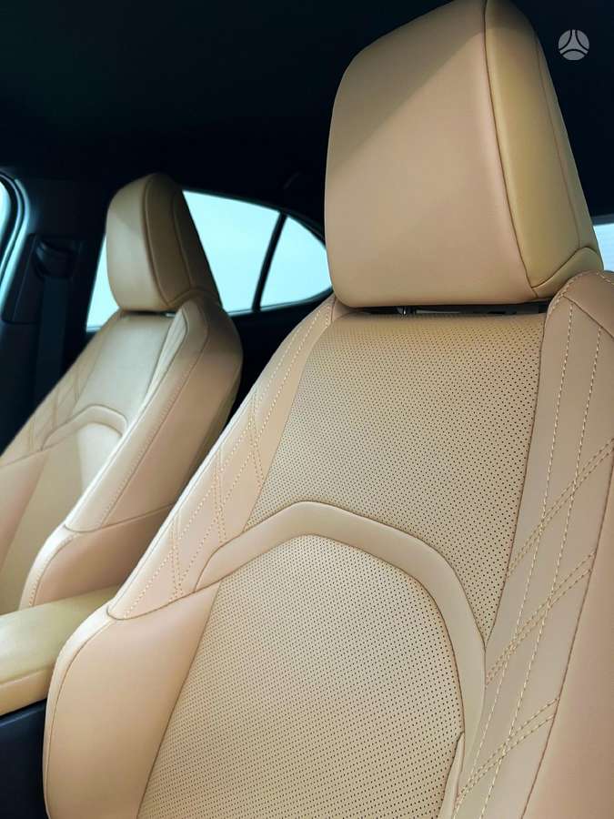 Lexus UX 300e, off-road / crossover