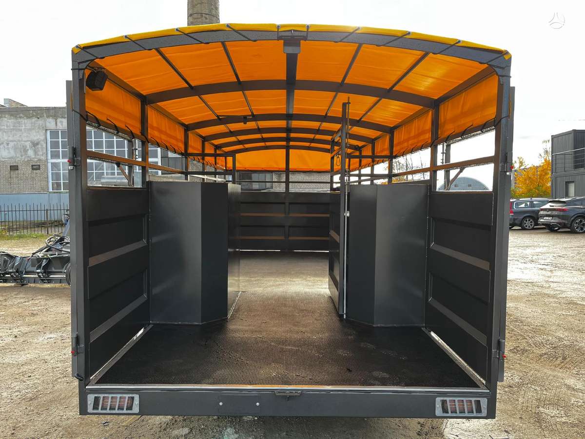 -Kita- MA640, livestock
