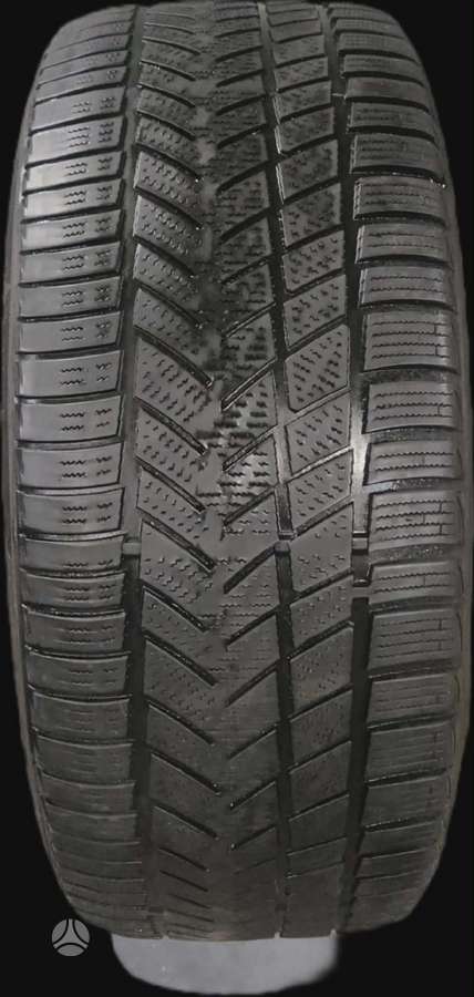 Sunny Winter max, winter 245/45 R19