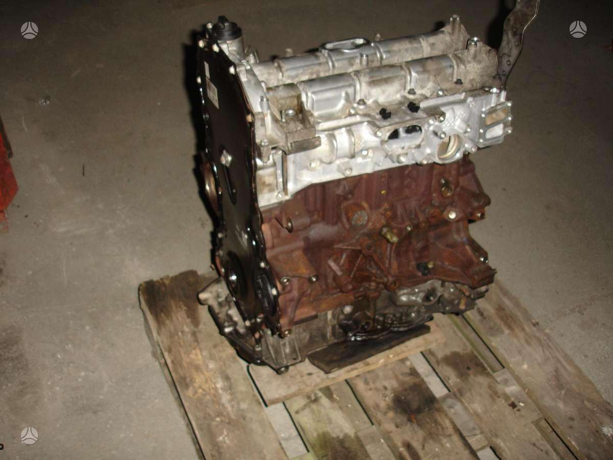 Ford Transit Custom, YMF6  YNF6, engine