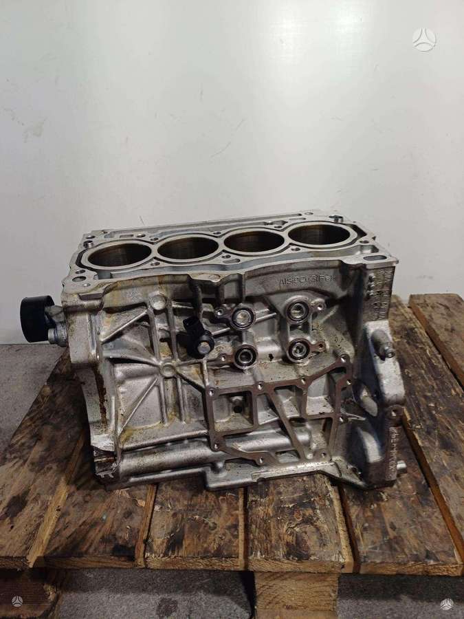 Volkswagen Tiguan, DXD, variklis