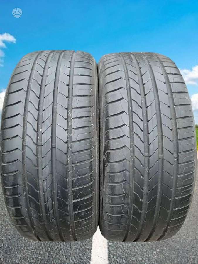 Goodyear EfficientGrip, vasarinės 255/45 R20