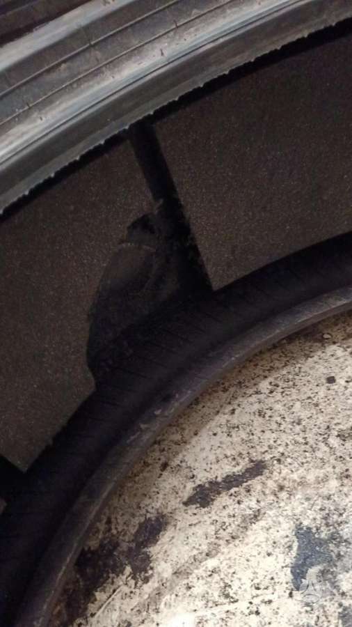 Pirelli P ZERO PZ4, summer 275/35 R22