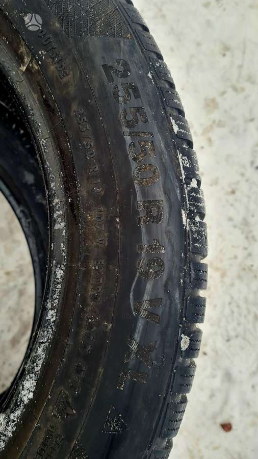 Continental, žieminės 255/50 R19