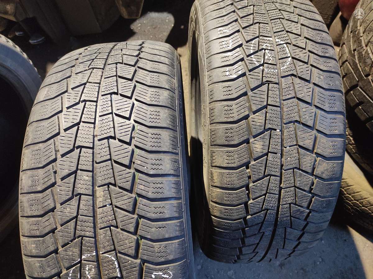 Michelin, žieminės 225/50 R17