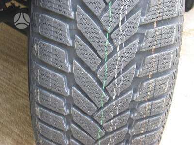 Bridgestone SUPER KAINA, žieminės 225/55 R17