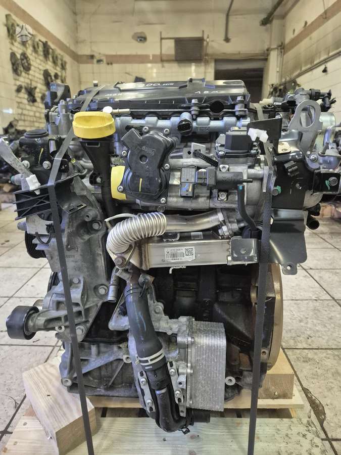 Renault Koleos, M9ra868, M9r868 85 000km