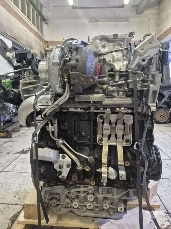 Renault Koleos, M9ra868, M9r868 85 000km