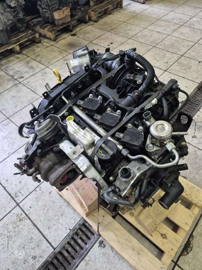 Ford Focus, M2DA, M2da 55 000km