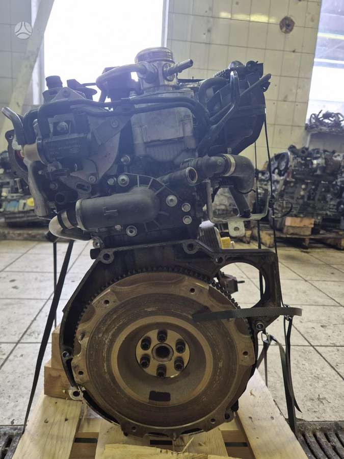 Ford Focus, M2DA, M2da 55 000km