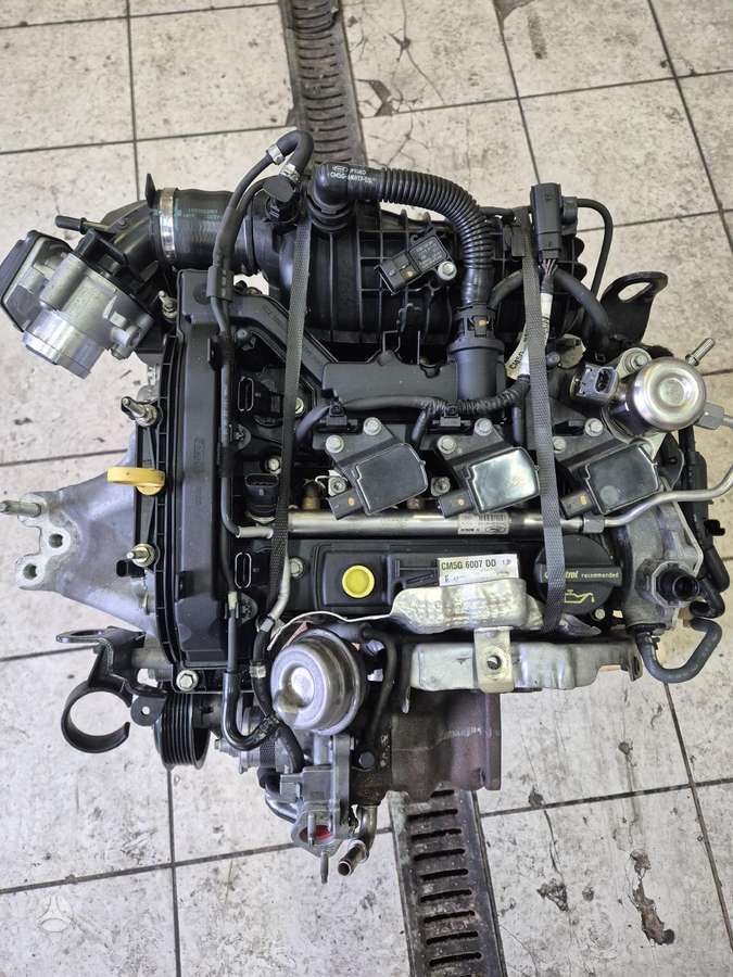 Ford Focus, M2DA, M2da 55 000km