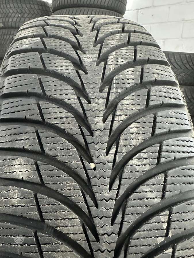 Sava, žieminės 205/60 R16
