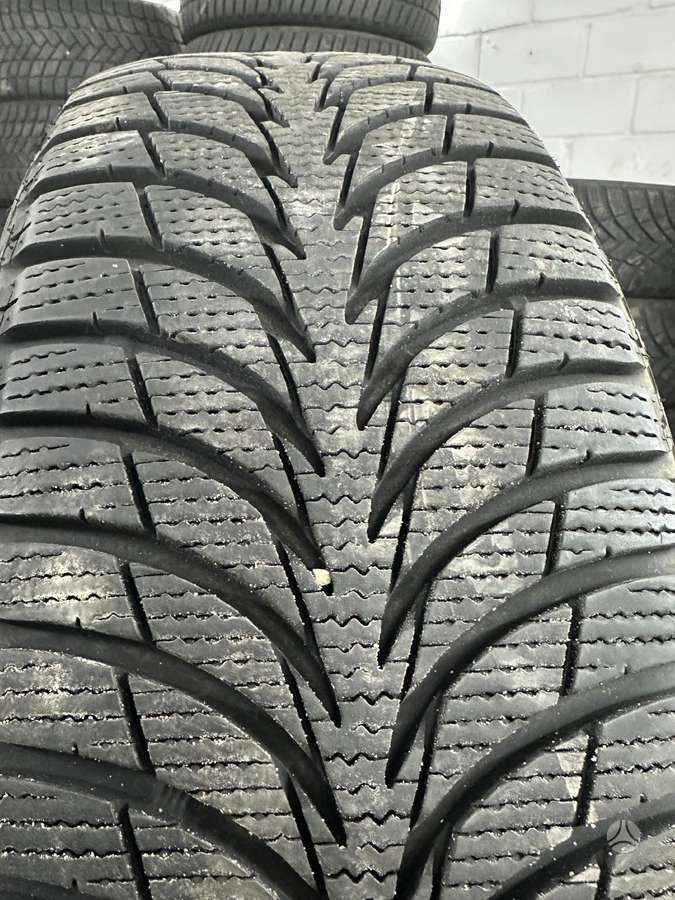 Sava, зимние 205/60 R16