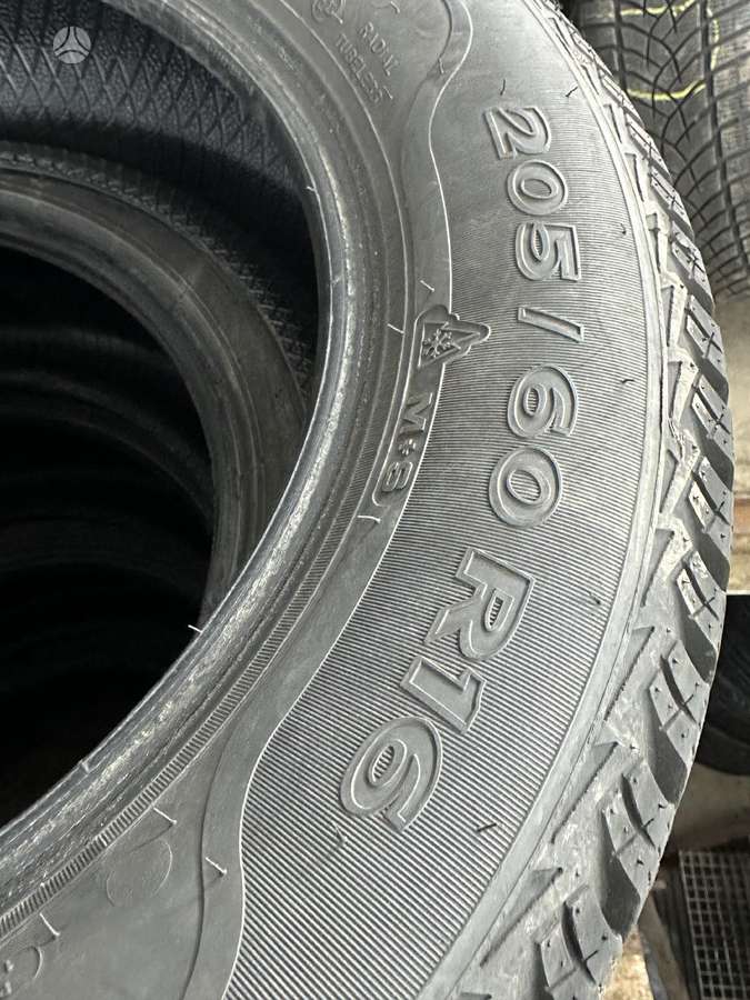 Sava, žieminės 205/60 R16