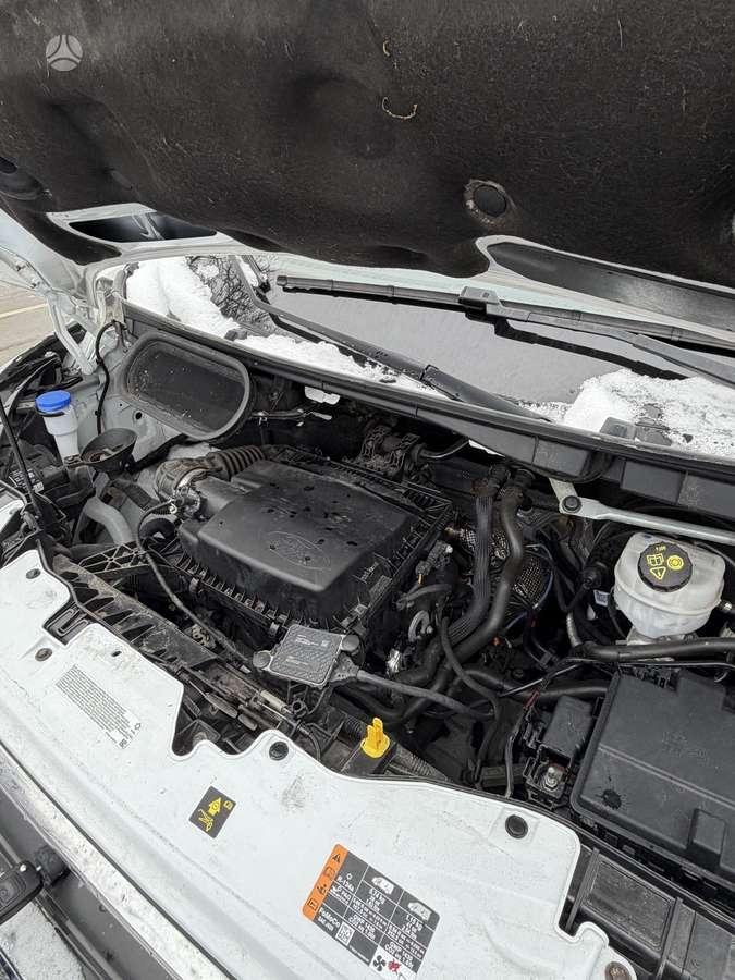 Ford Transit, 2.0 l., cargo van