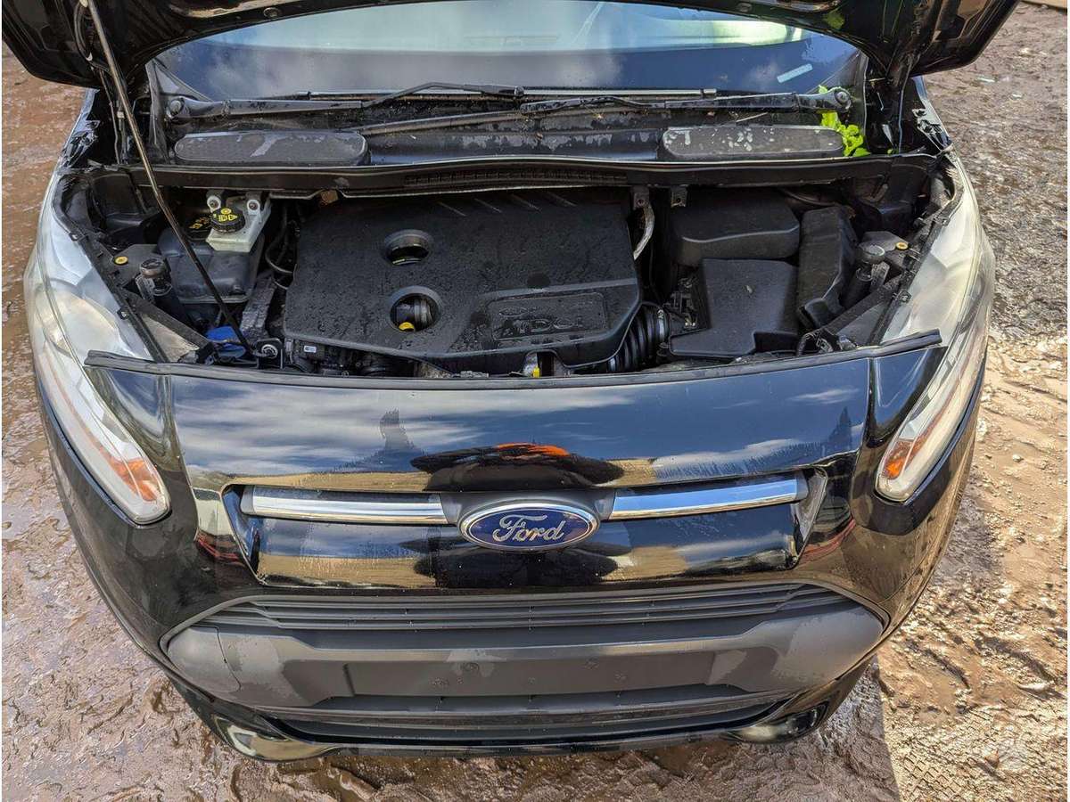 Ford Transit Connect variklis