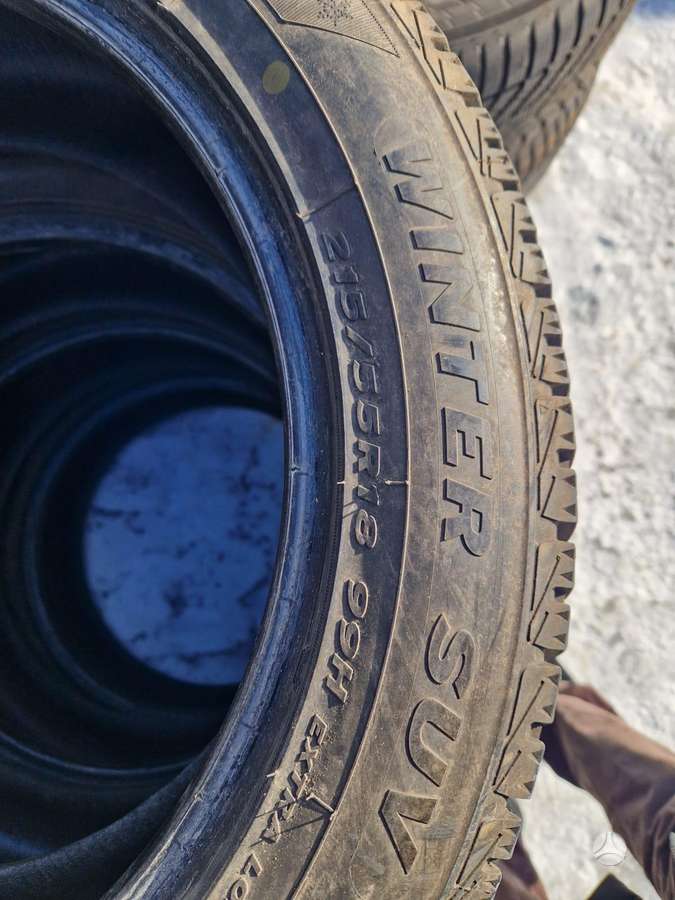 Fortuna, winter 215/55 R18
