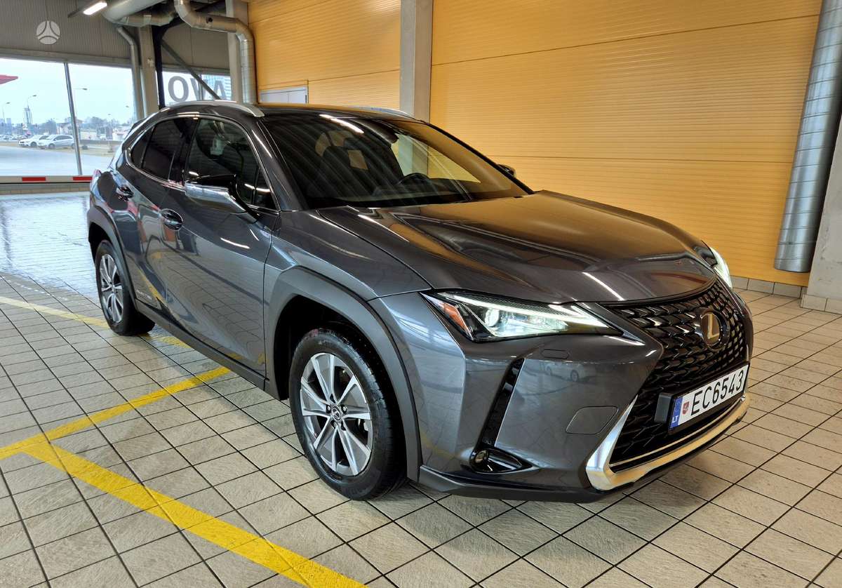 Lexus UX 300e, off-road / crossover