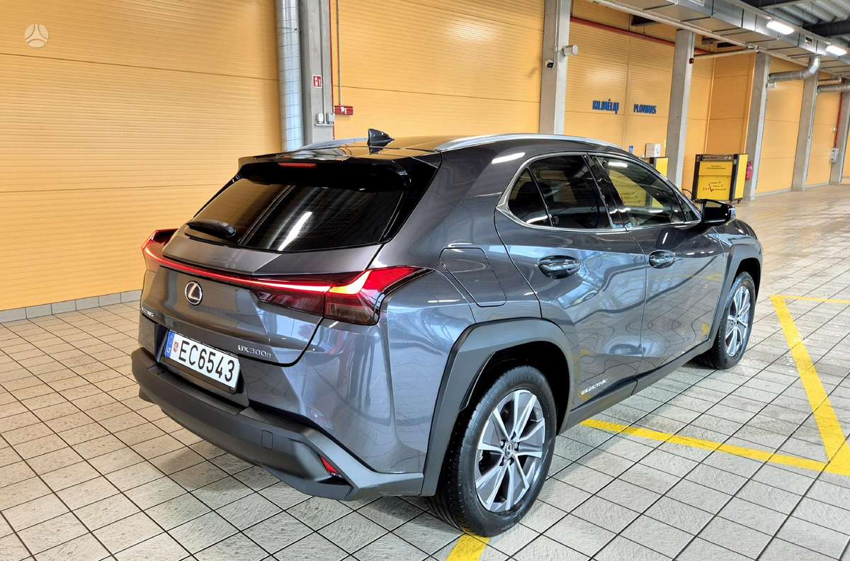 Lexus UX 300e, off-road / crossover