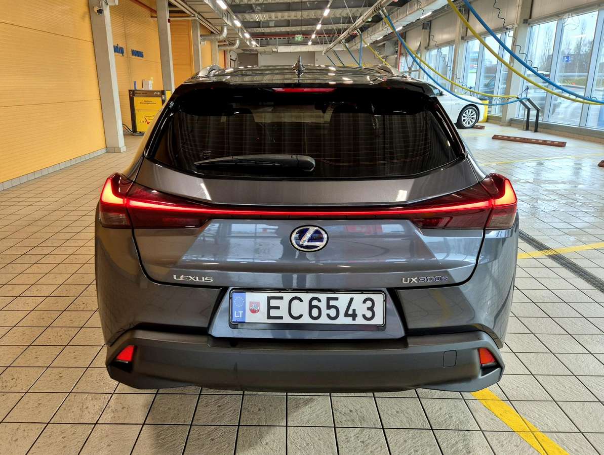 Lexus UX 300e, off-road / crossover