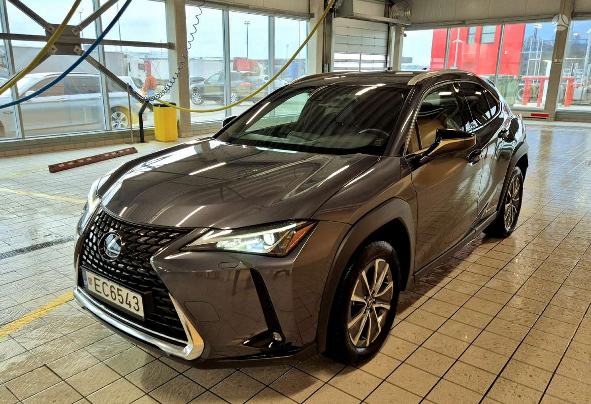 Lexus UX 300e, off-road / crossover