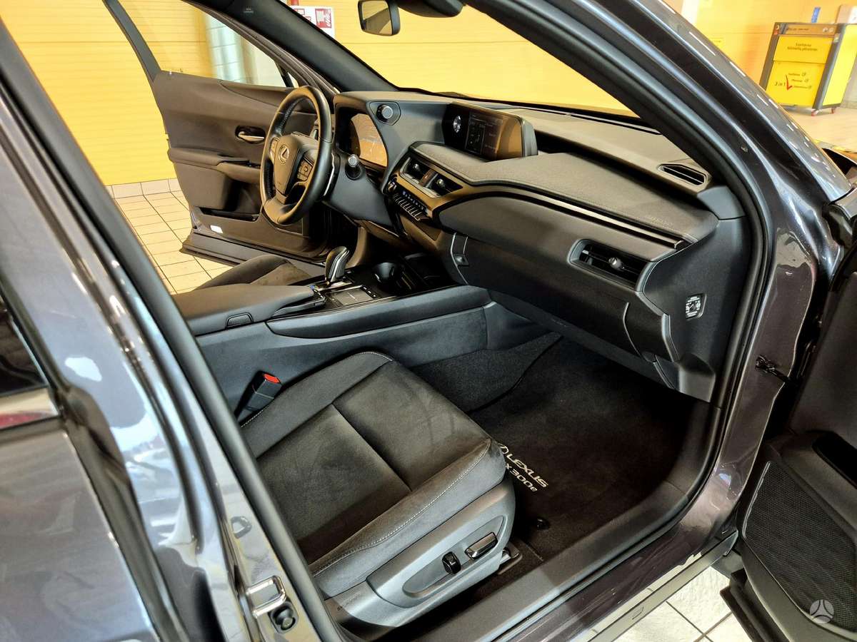Lexus UX 300e, off-road / crossover