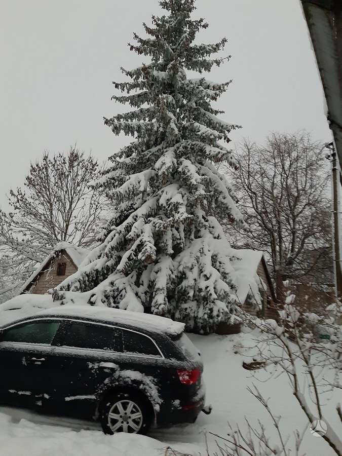 Audi Q7, 3.0 l., Универсал