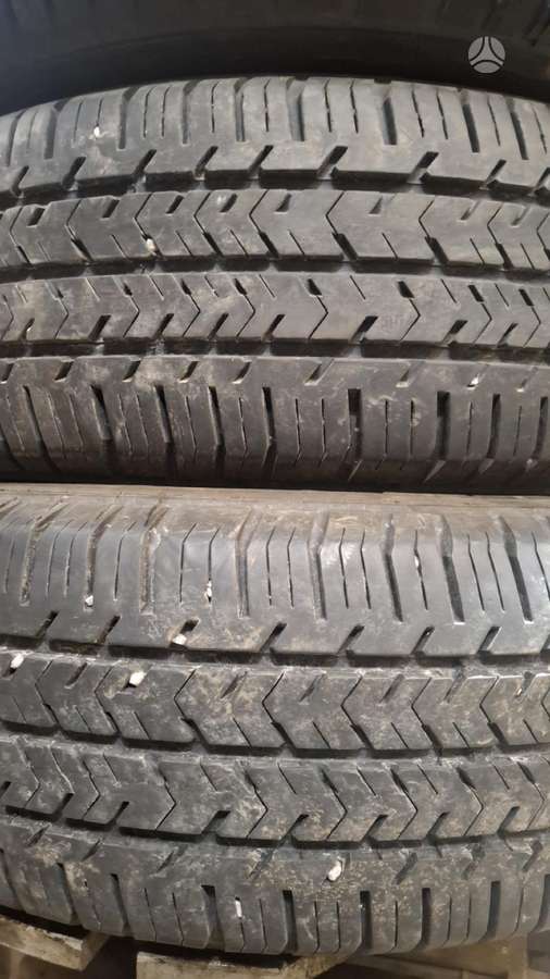 Michelin, vasarinės 195/70 R15