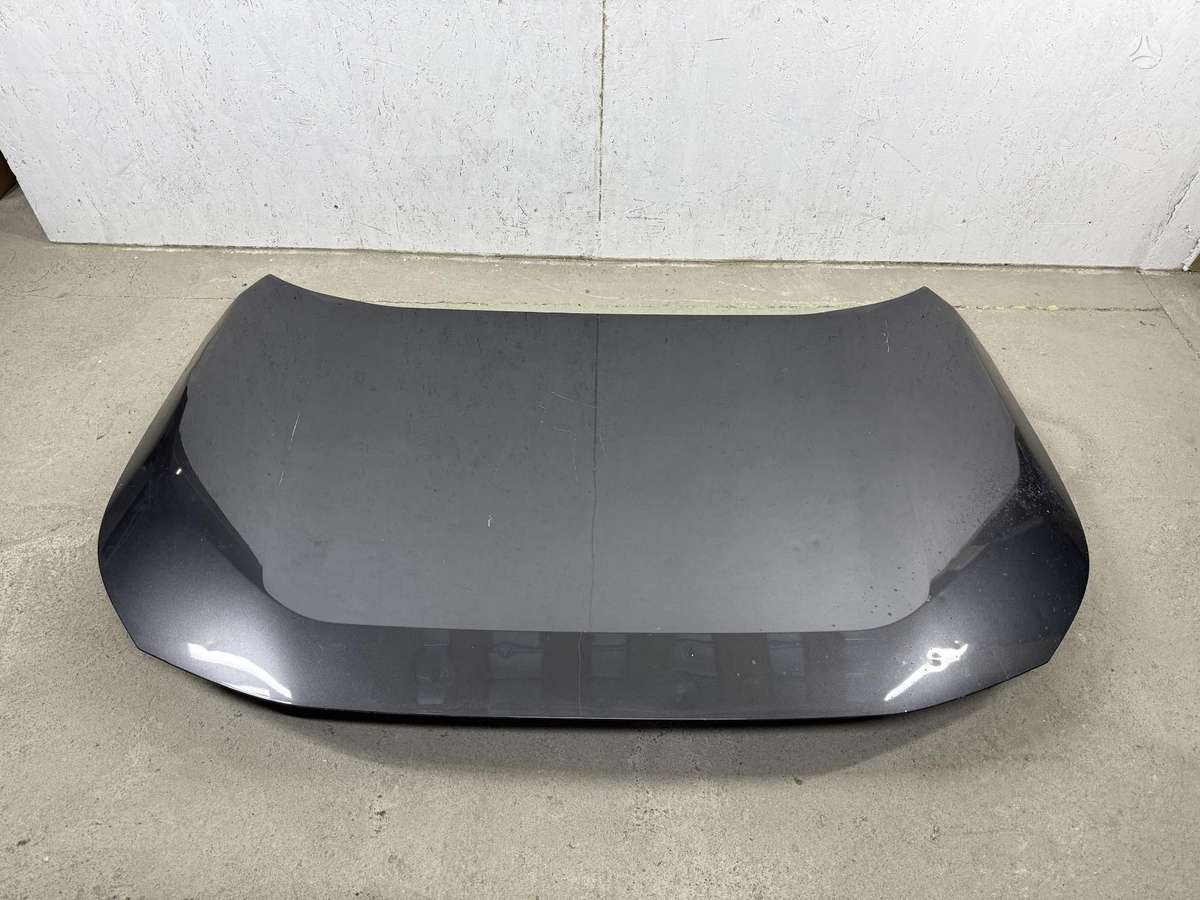 Toyota RAV4 hood (front, rear)