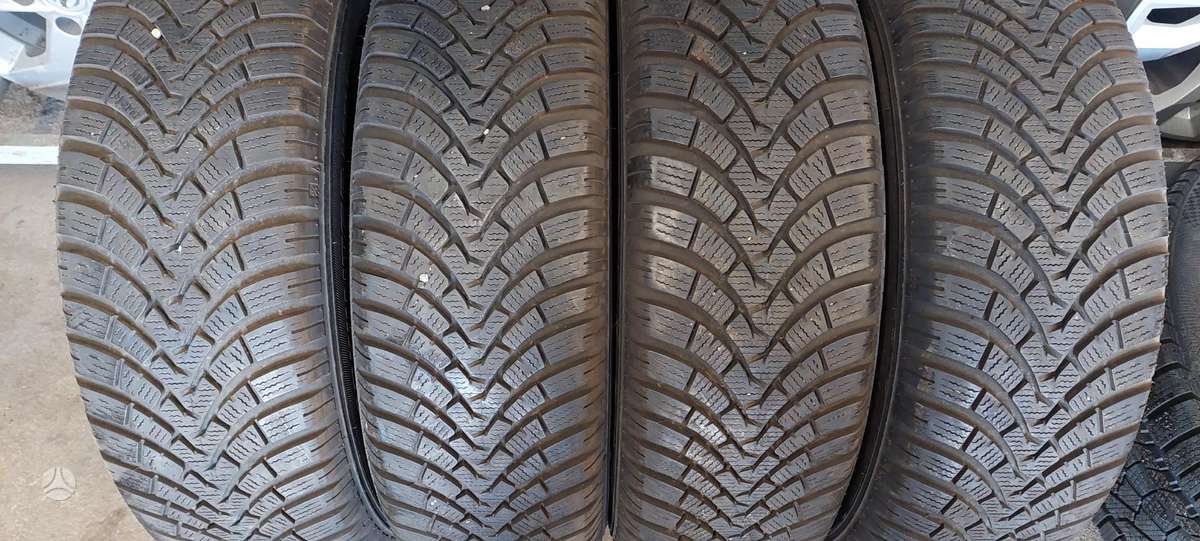 Falken, žieminės 215/65 R16