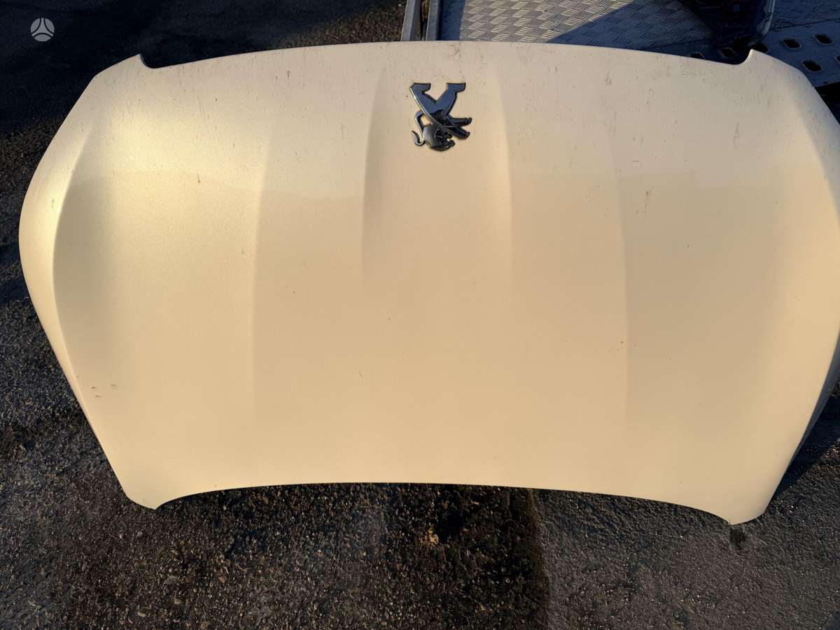 Peugeot 308 hood (front, rear), lights