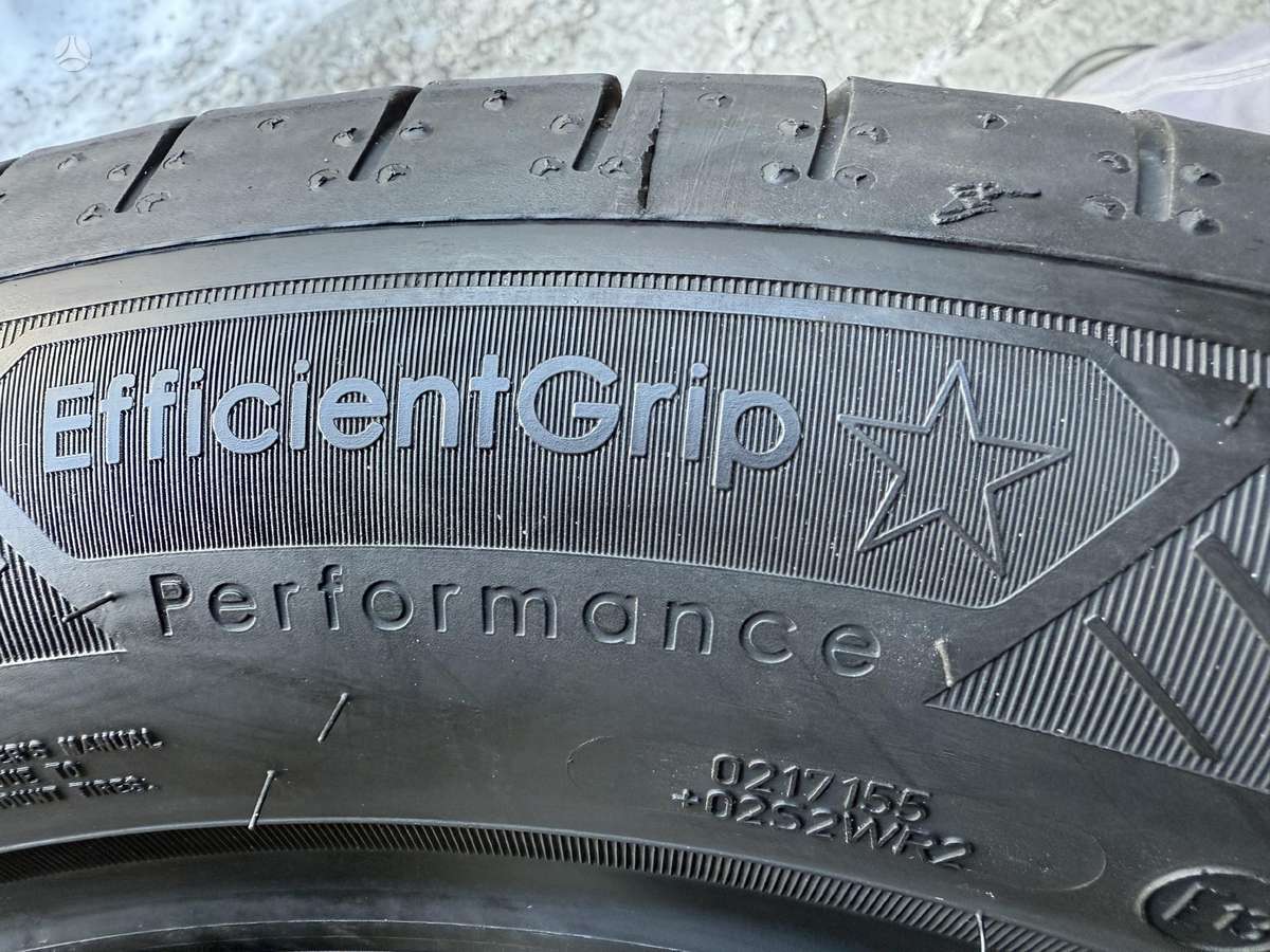 Goodyear Efficient grip performance*, vasarinės 225/55 R17