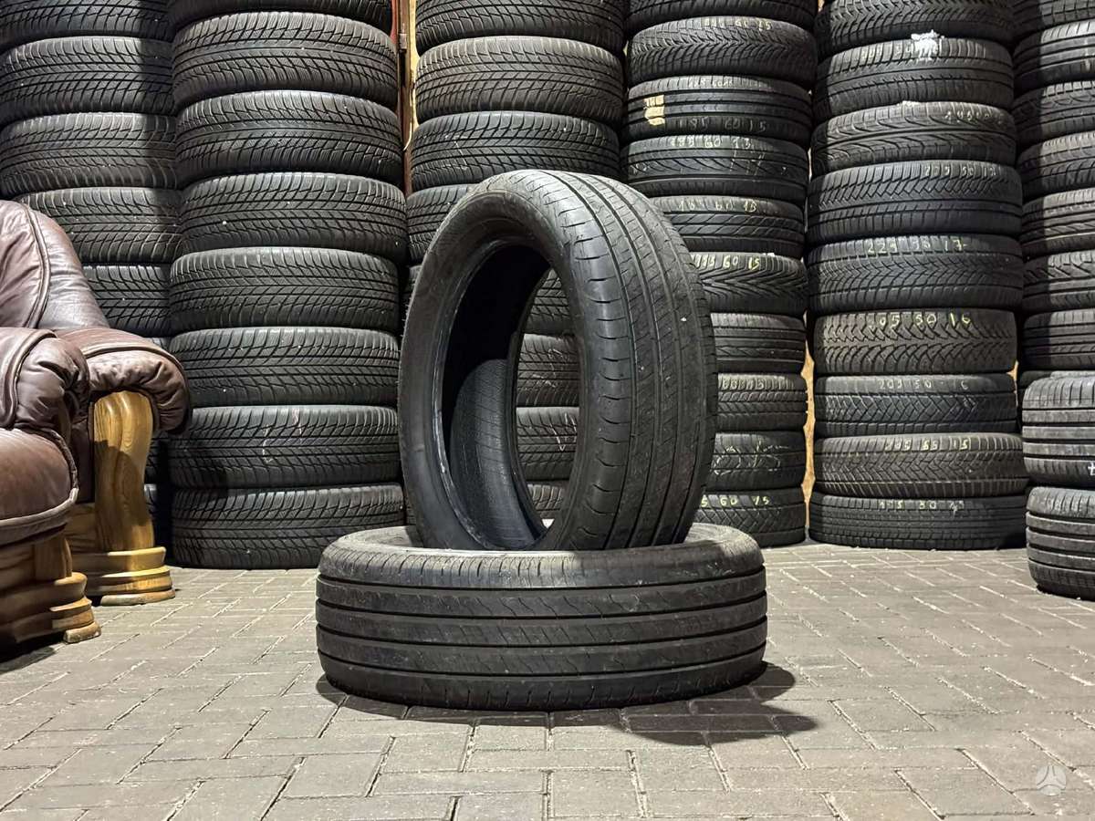 Goodyear EFFICIENTGRIP 2 | 2024/2025, летние 225/55 R19